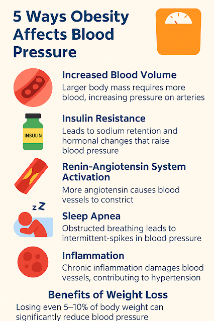 Obesity and Blood Pressure: Why Weight Matters for Heart Health