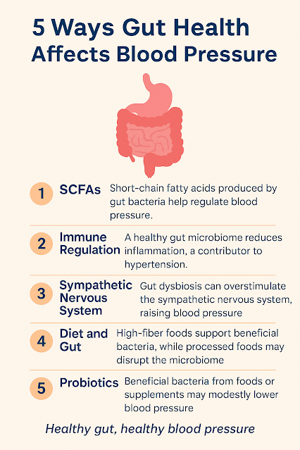 Gut Microbiome and Blood Pressure: How Your Digestive Health Shapes Hypertension