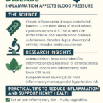 Immune Health and Heart Disease: How Inflammation Affects Blood Pressure