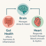 Gut-Brain Connection: How Mental Health Affects Your Heart