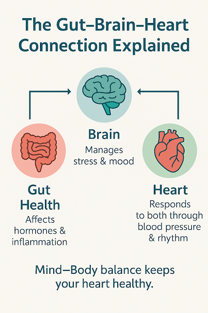 Gut-Brain Connection: How Mental Health Affects Your Heart